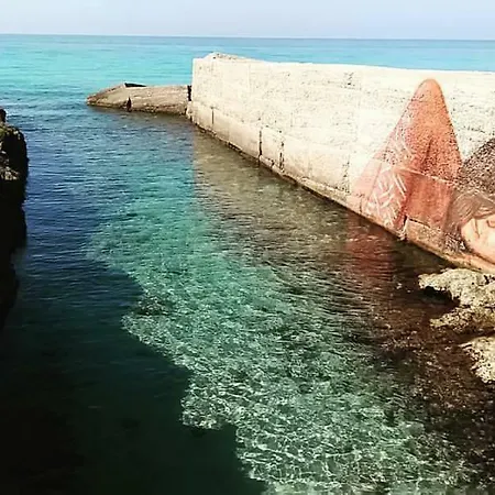 Nausica פורטו צ'זראו
